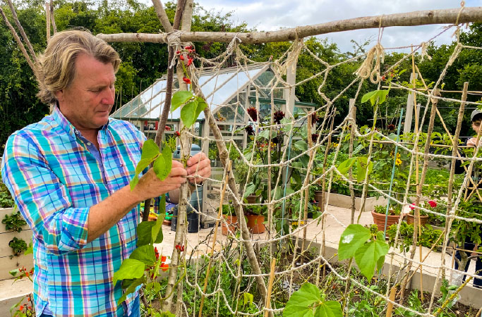 David Domoney gardening