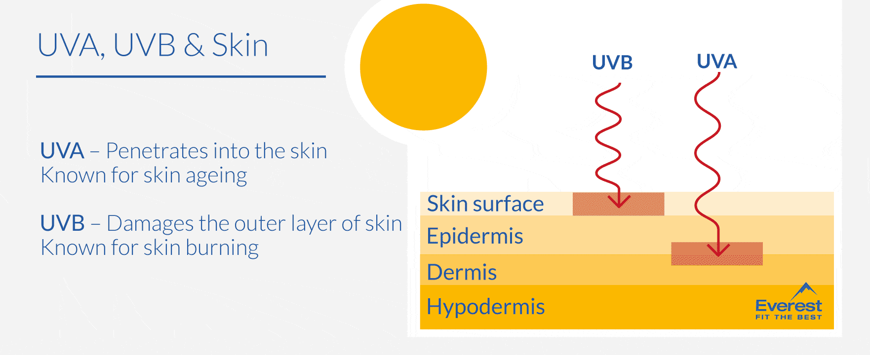 UVA, UVB & Skin