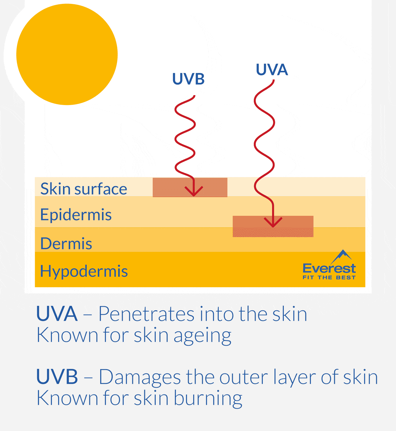 UVA, UVB & Skin