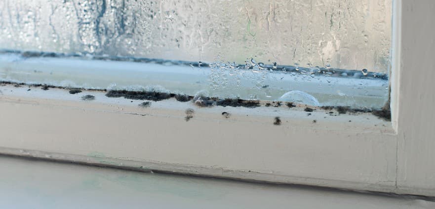 How can condensation damage wooden windows