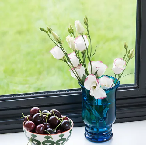 White flowers with pink trim in a teal vase
