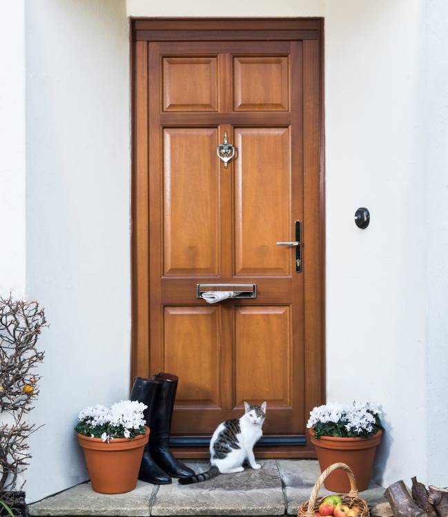 Wooden door with a cat sitting on the doorstep