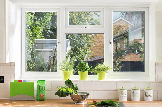 White Everest conservatory window with plants and greenery outside