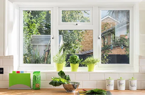 White Everest conservatory window with plants and greenery outside