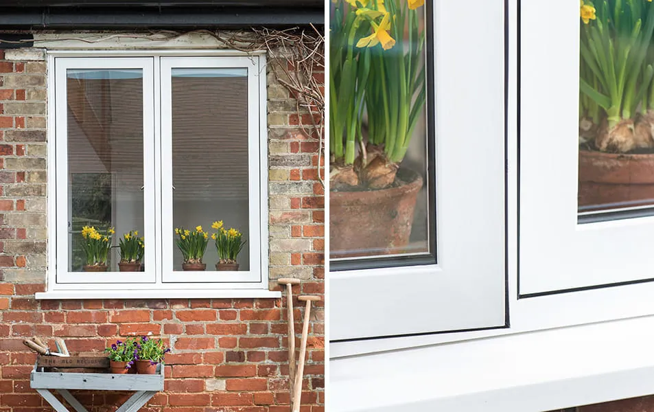 White Everest conservatory window with yellow daffodils