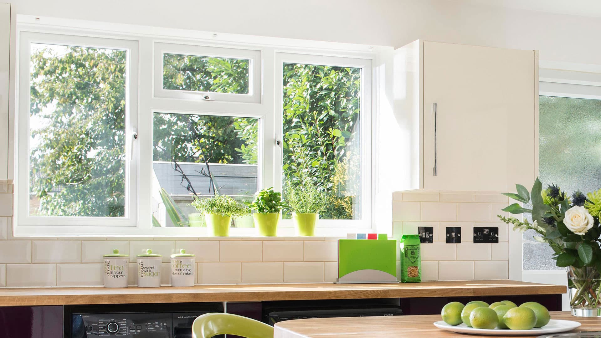White window with green plants on window sill