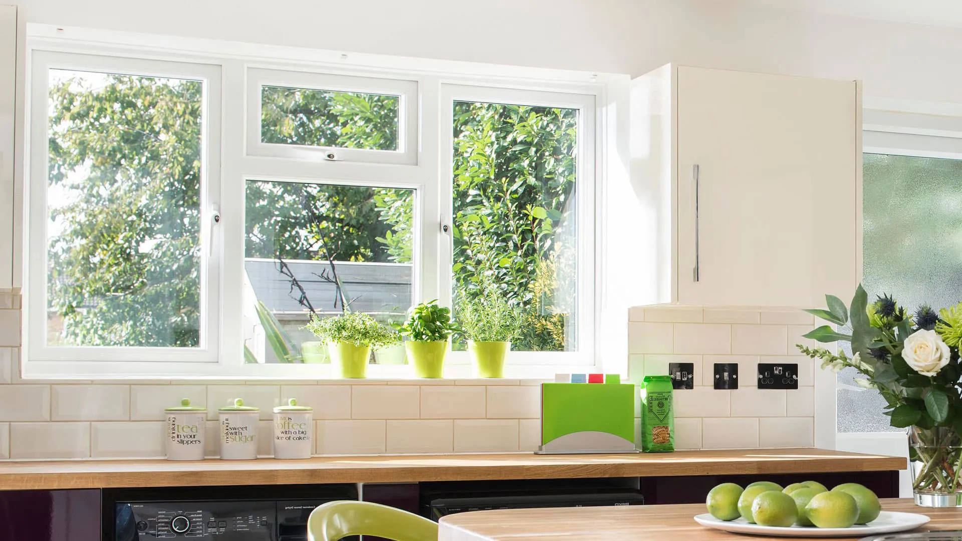White window with green plants on window sill