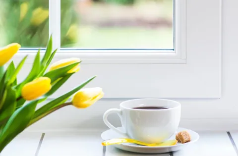 White coffee cup and yellow tulips by window