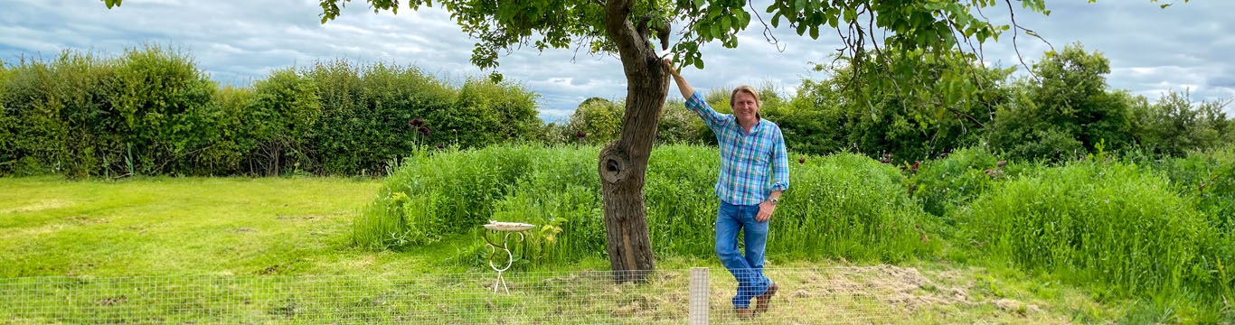 Man standing by tree in garden with green grass and hedges